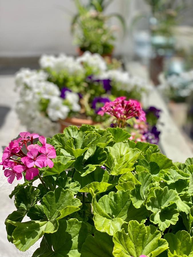 Violet'S Boutique Apartments ساراندا المظهر الخارجي الصورة