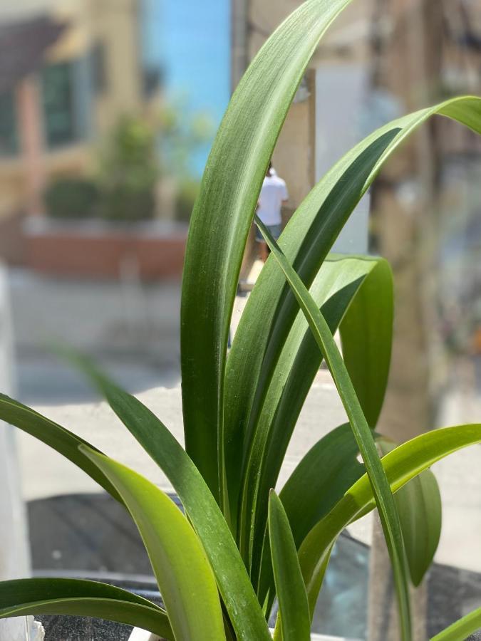 Violet'S Boutique Apartments ساراندا المظهر الخارجي الصورة